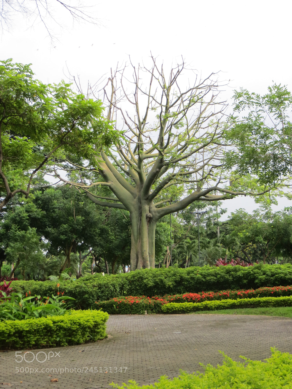 Canon PowerShot SX260 HS sample photo. ? photography
