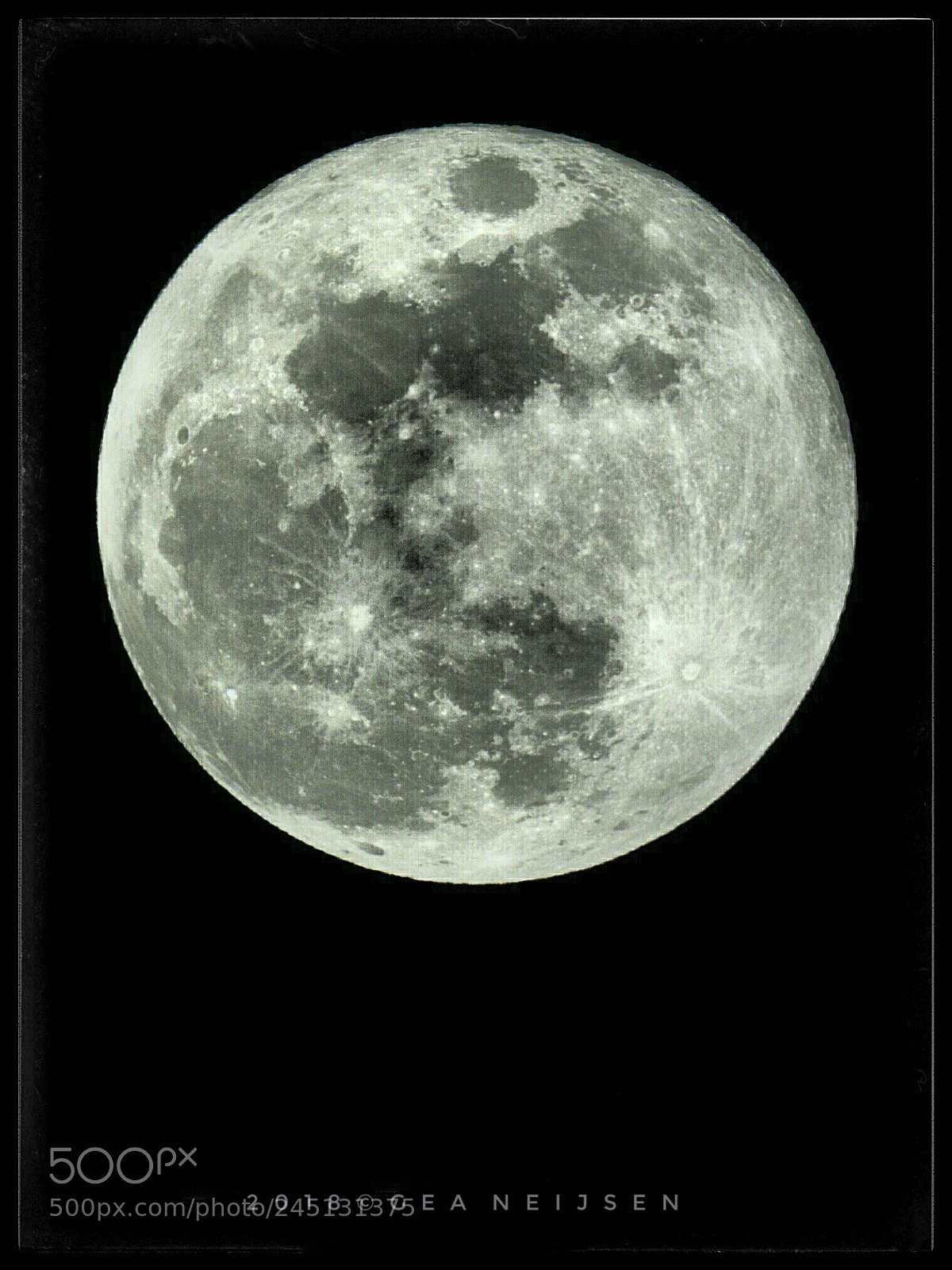 Olympus OM-D E-M1 Mark II sample photo. Blue moon photography