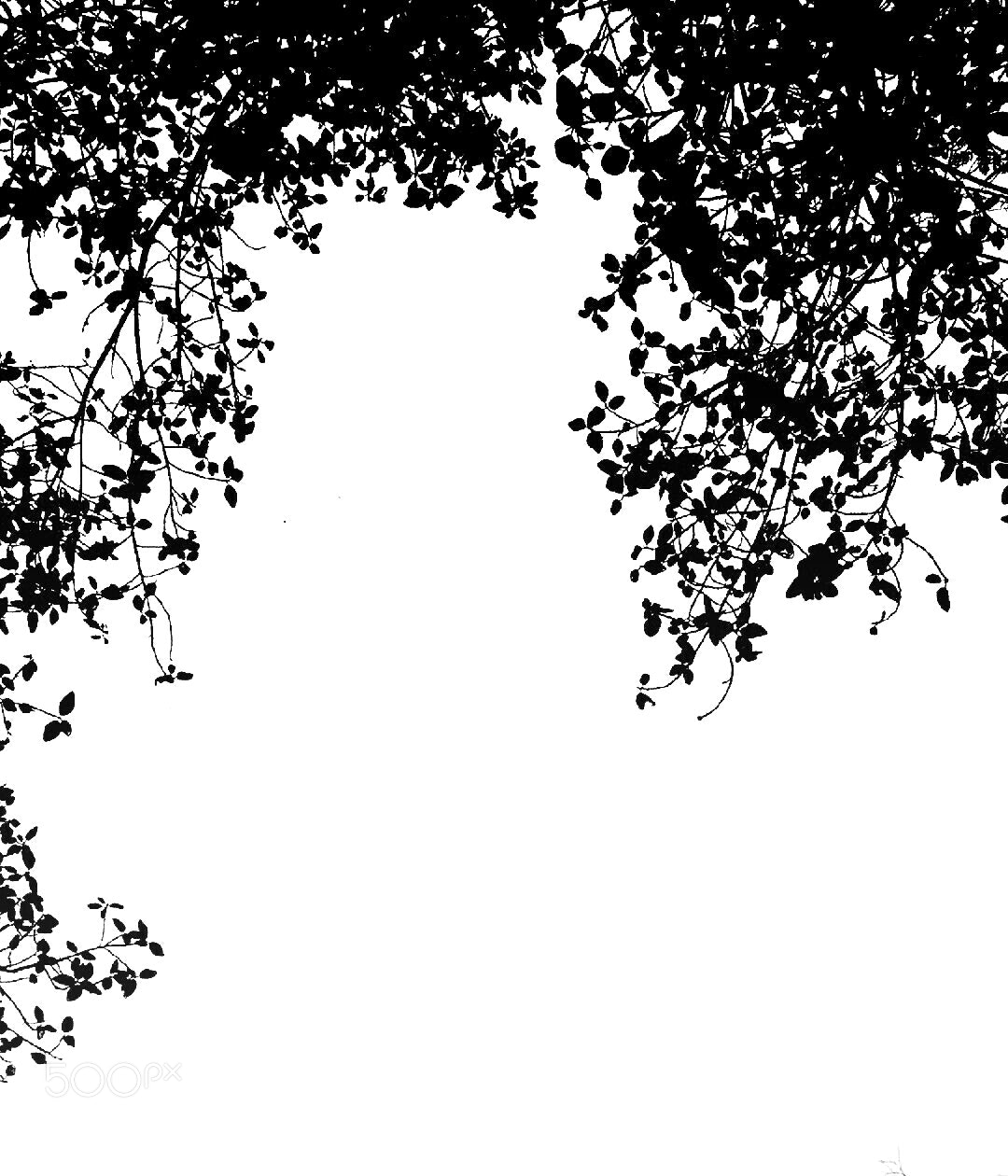 Motorola XT1080 sample photo. Wreath in woods photography