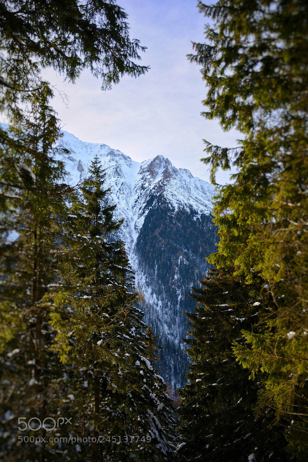 Nikon D5200 sample photo. "peak"-ing through photography