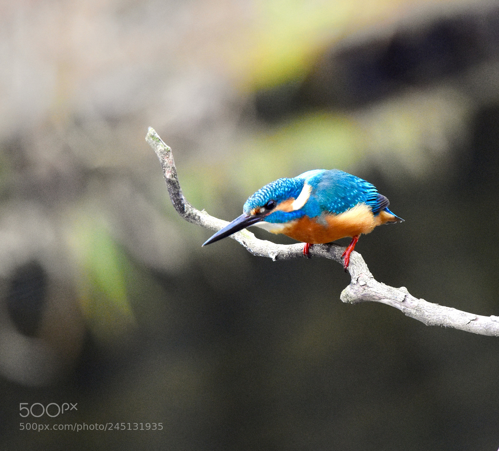 Nikon D7200 sample photo. Aim to ... photography