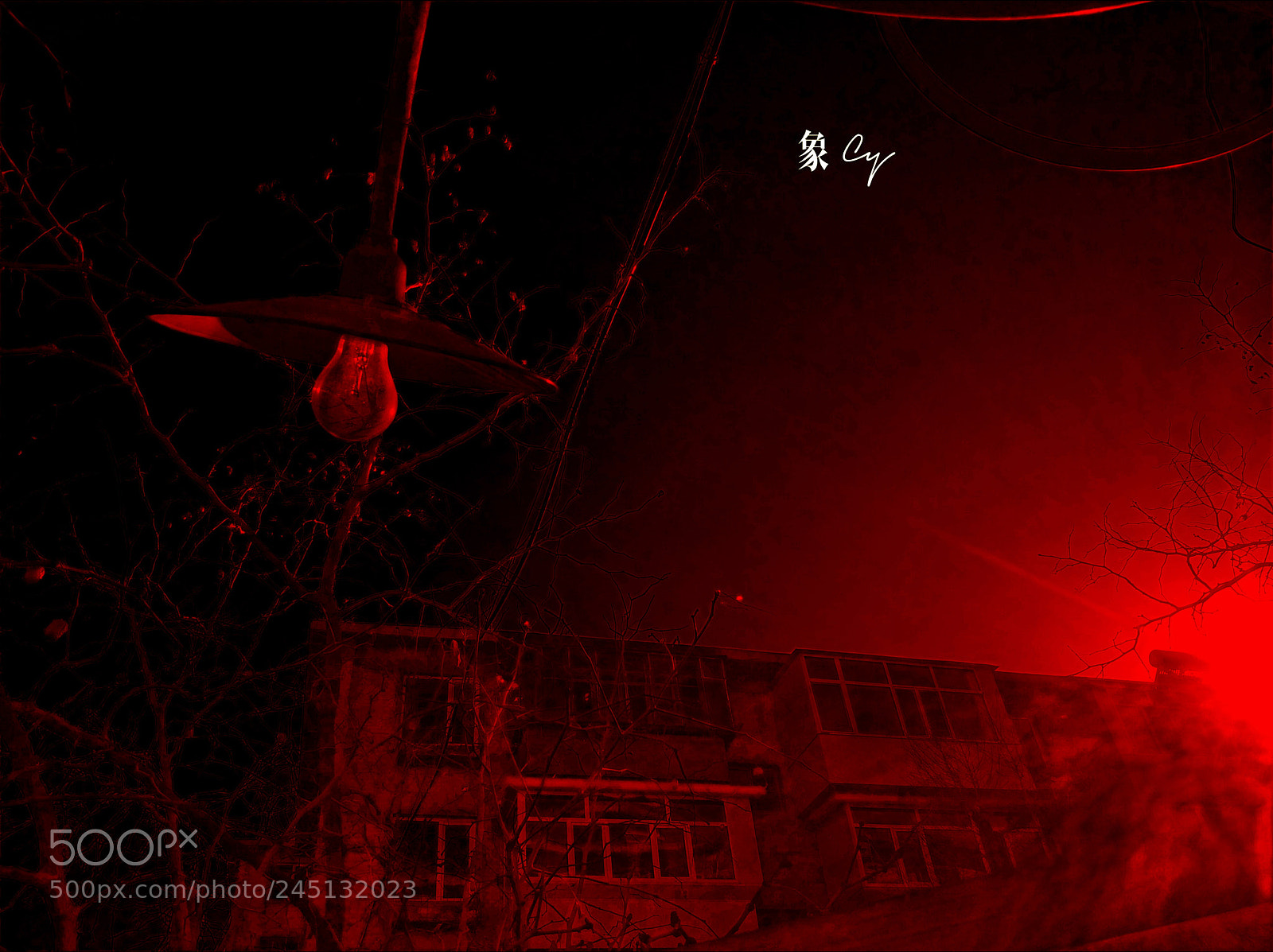 Xiaomi MI6 sample photo. Untitled photography