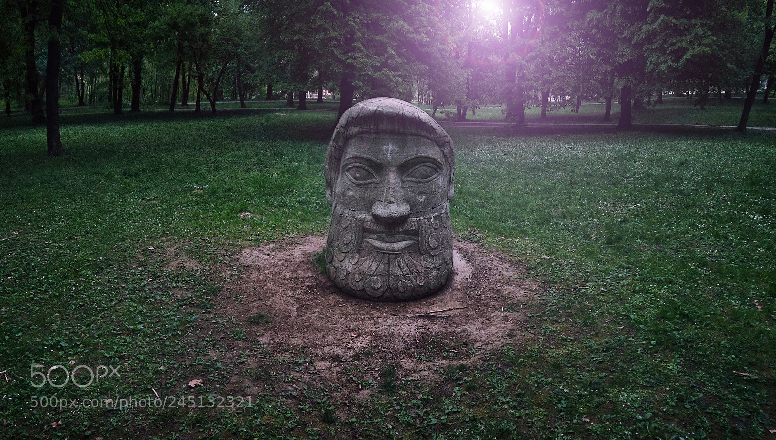 Sony Alpha NEX-5R sample photo. A park encounter photography
