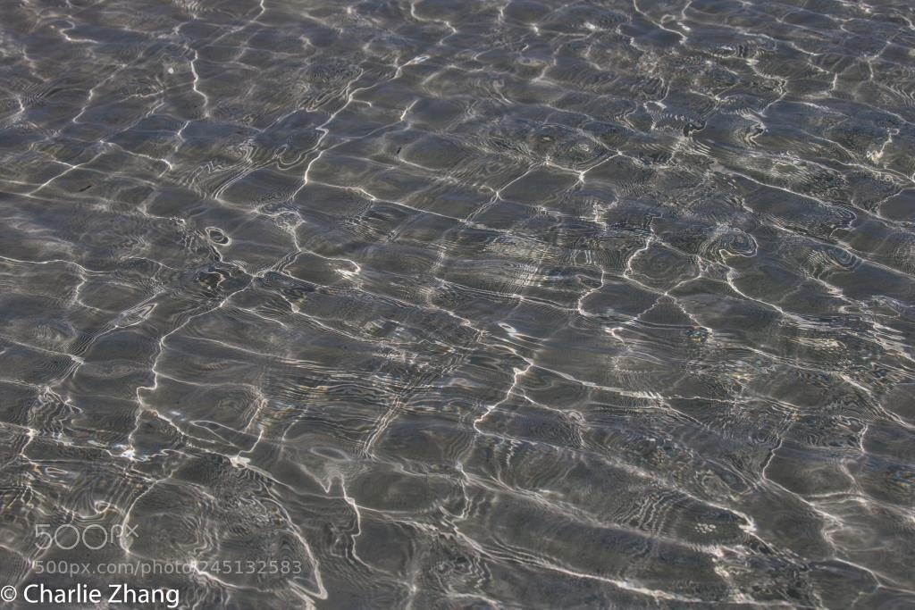 Canon EOS-1D X sample photo. Untitled photography