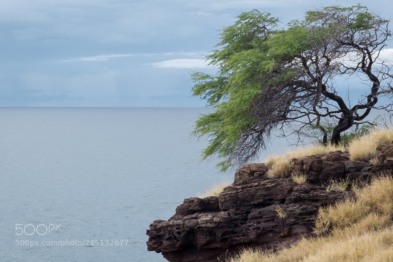 Fujifilm X100T sample photo. Papawai point - maui photography