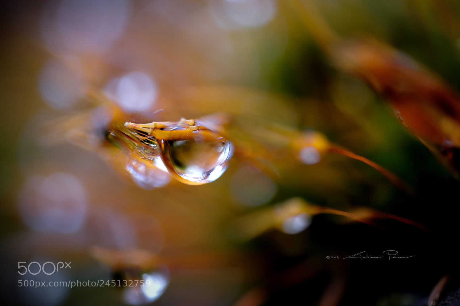 Fujifilm X-T1 sample photo. Colourful drops photography