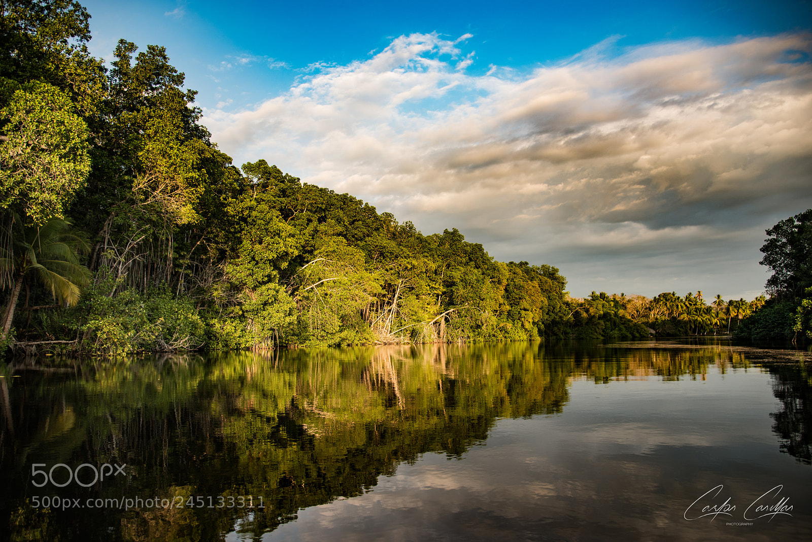 Nikon D810 sample photo. Mangrove forest at concepcion photography
