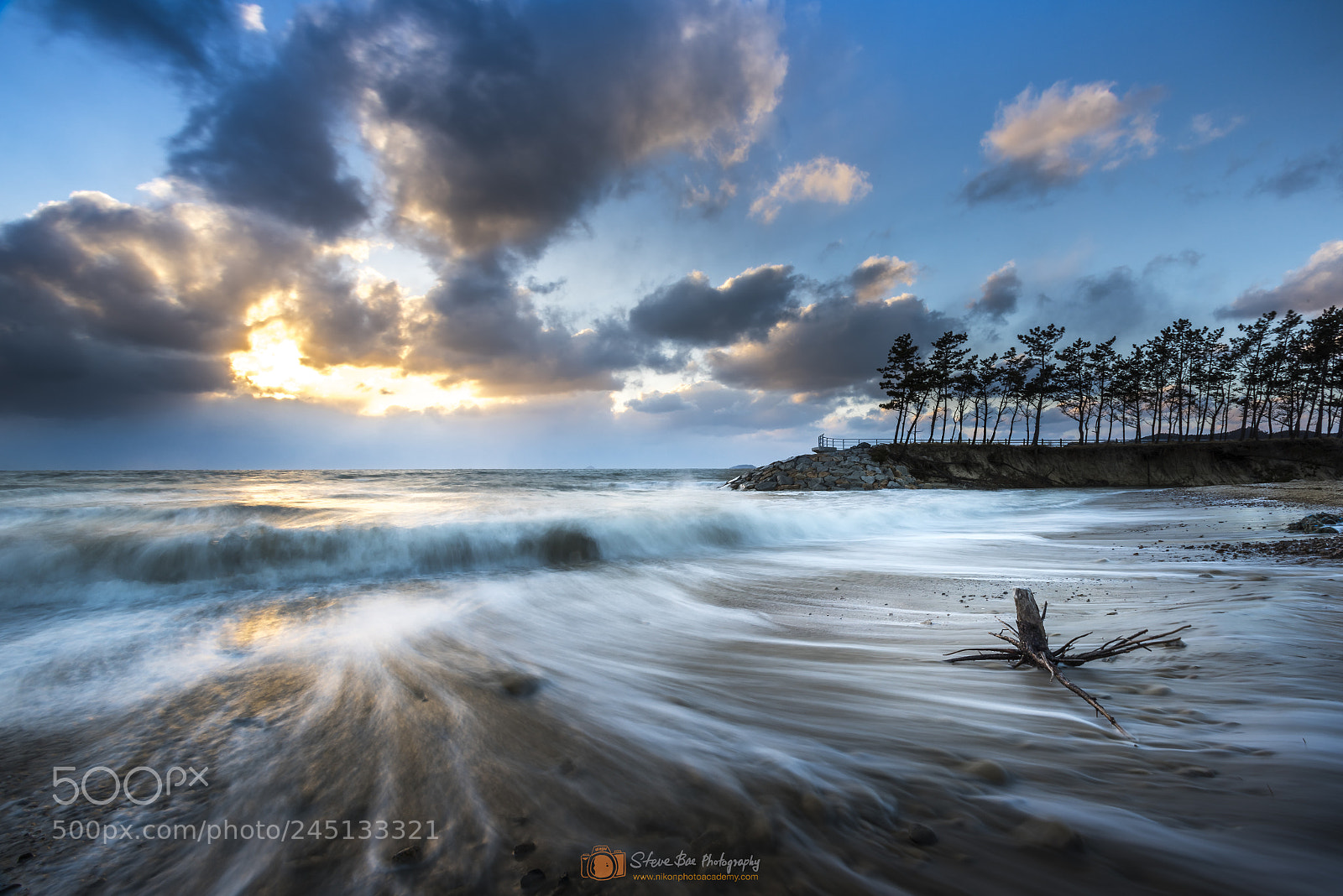 Nikon D810 sample photo. Pine beach photography