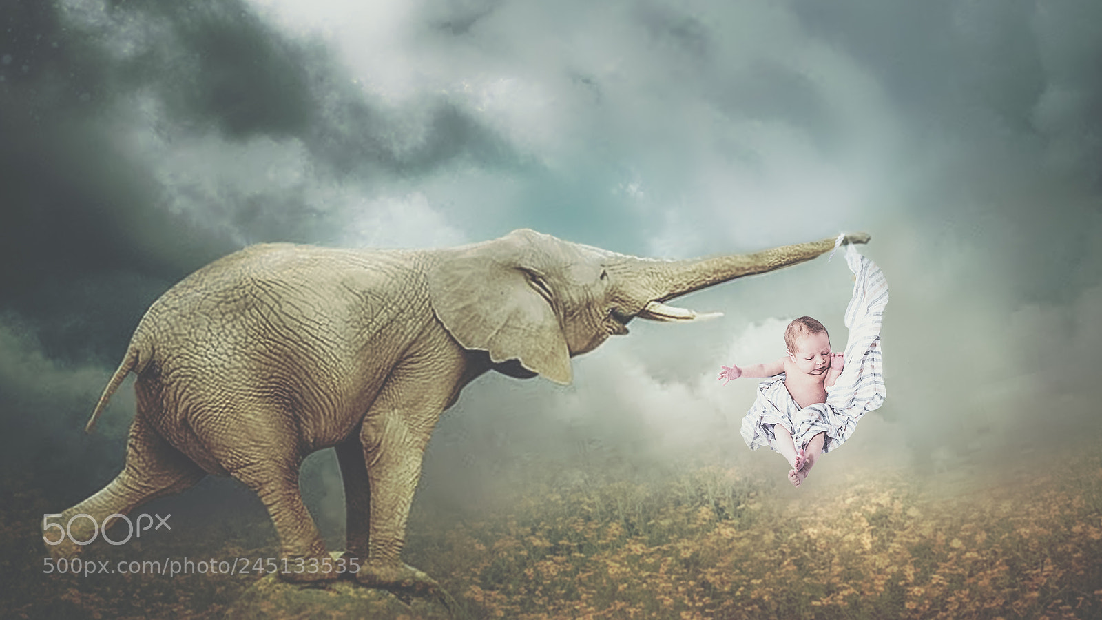 Canon EOS 60D sample photo. Fantastical baby photography