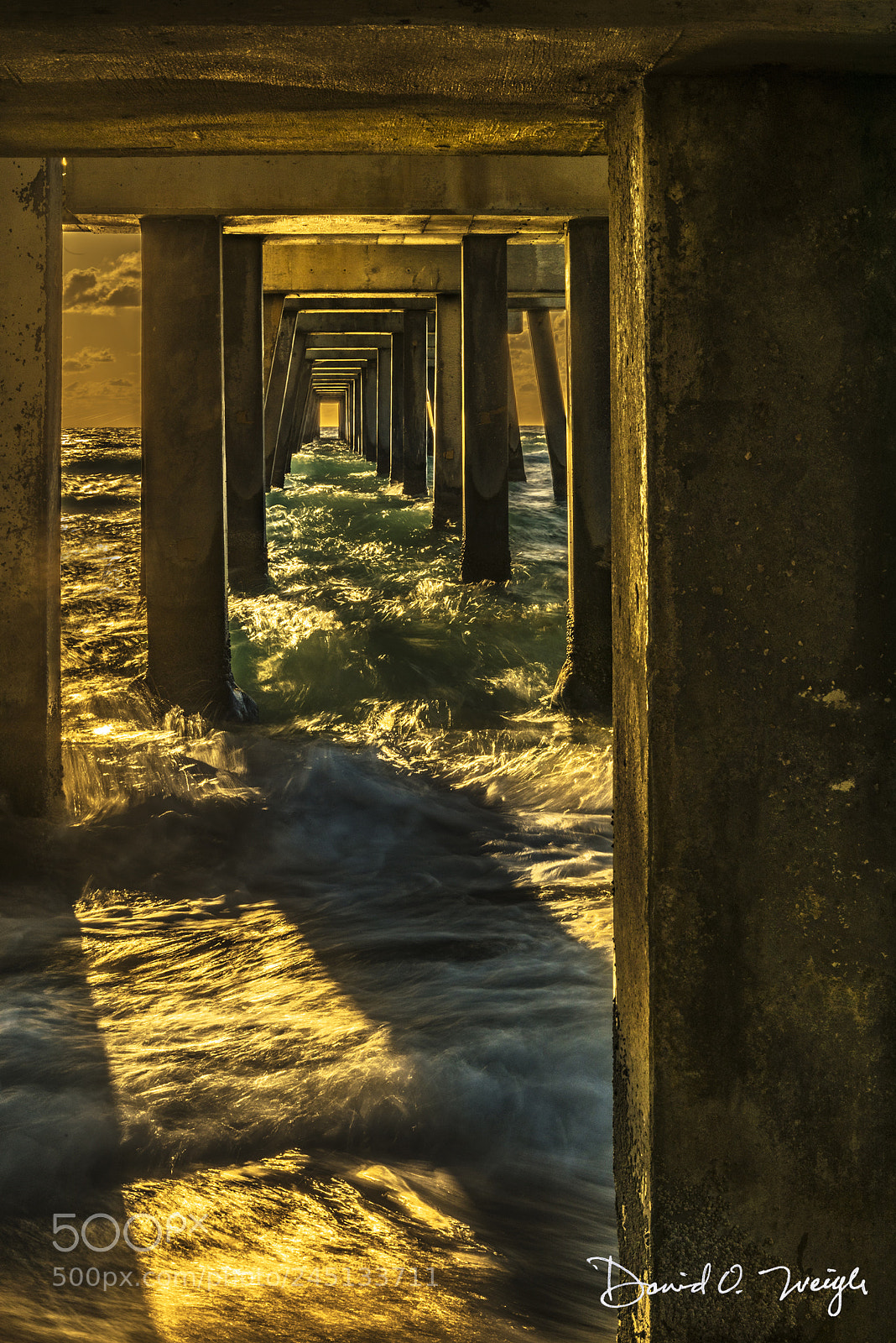 Nikon D810 sample photo. Dania beach pier photography