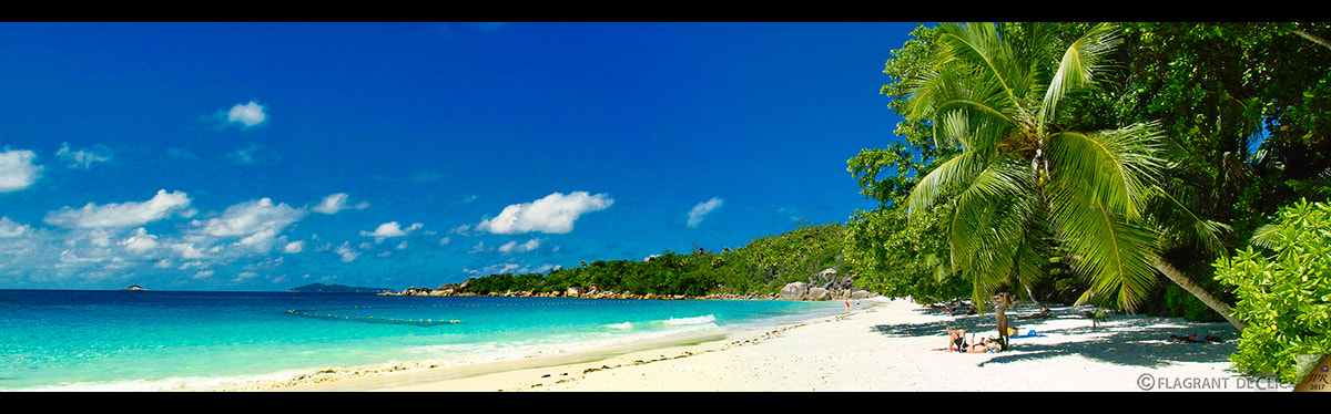 Sigma SD14 sample photo. Anse lazio - praslin photography