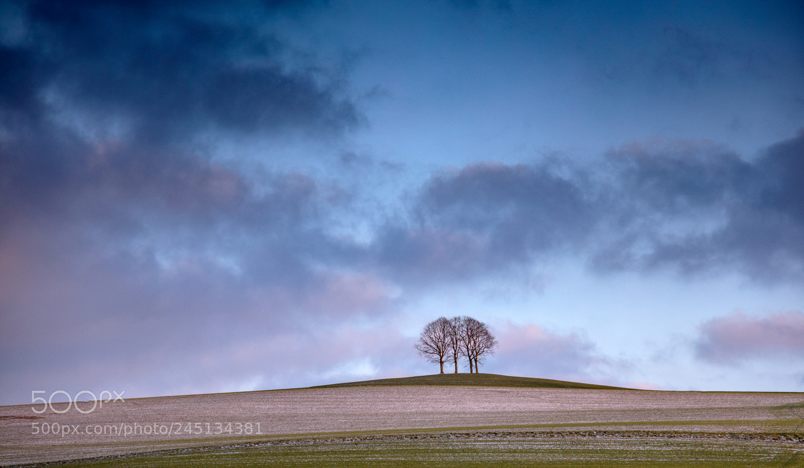 Canon EOS 5DS sample photo. Evening light photography