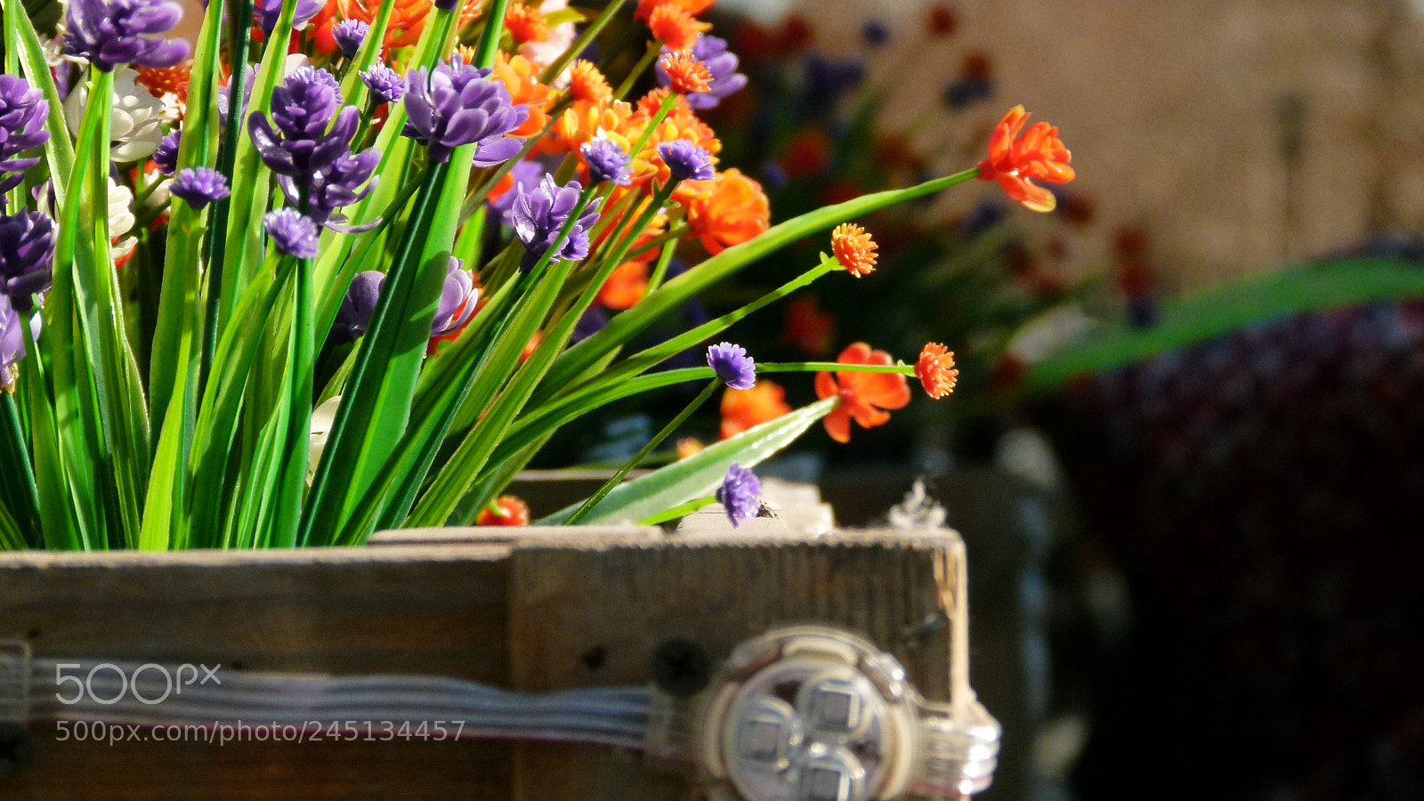 Leica V-Lux 2 sample photo. Untitled photography