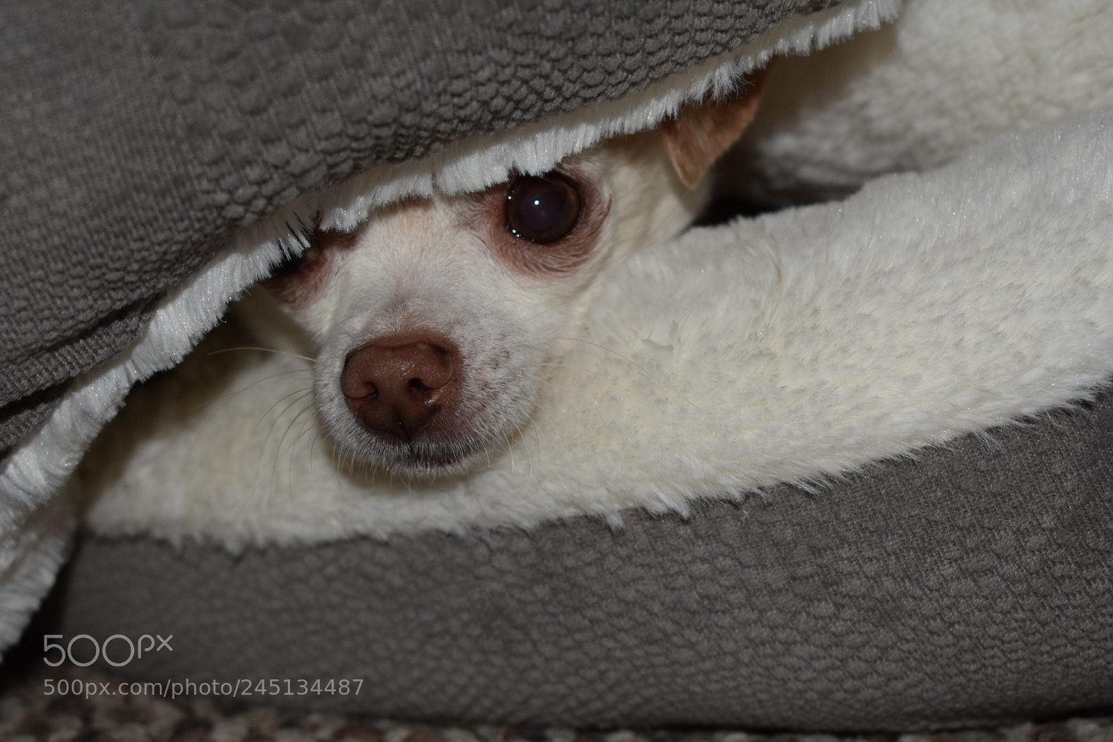 Nikon D3400 sample photo. Untitled photography