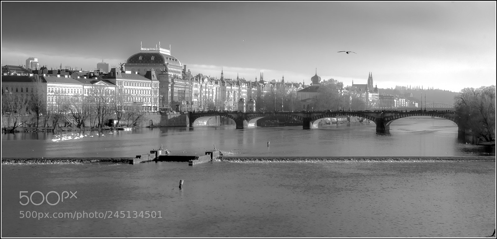 Pentax K-5 sample photo. Gulls national theatre. prague.czech photography