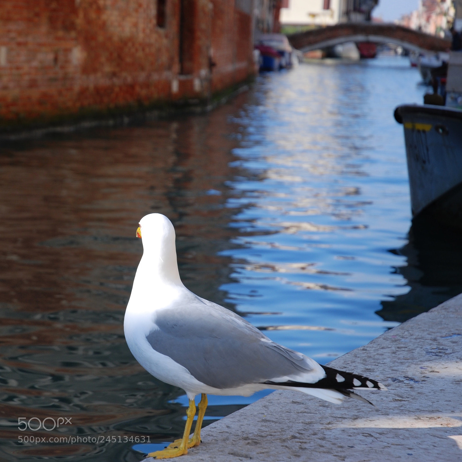 Nikon D80 sample photo. Venezia photography