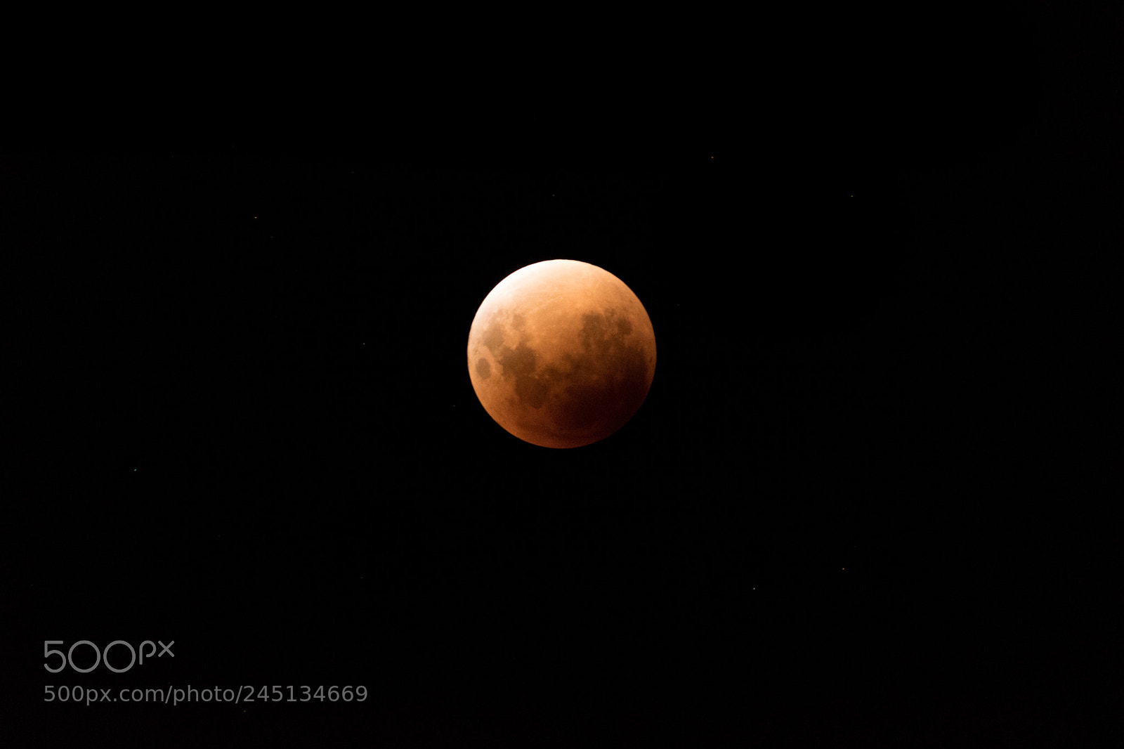 Canon EOS 760D (EOS Rebel T6s / EOS 8000D) sample photo. Blue moon photography
