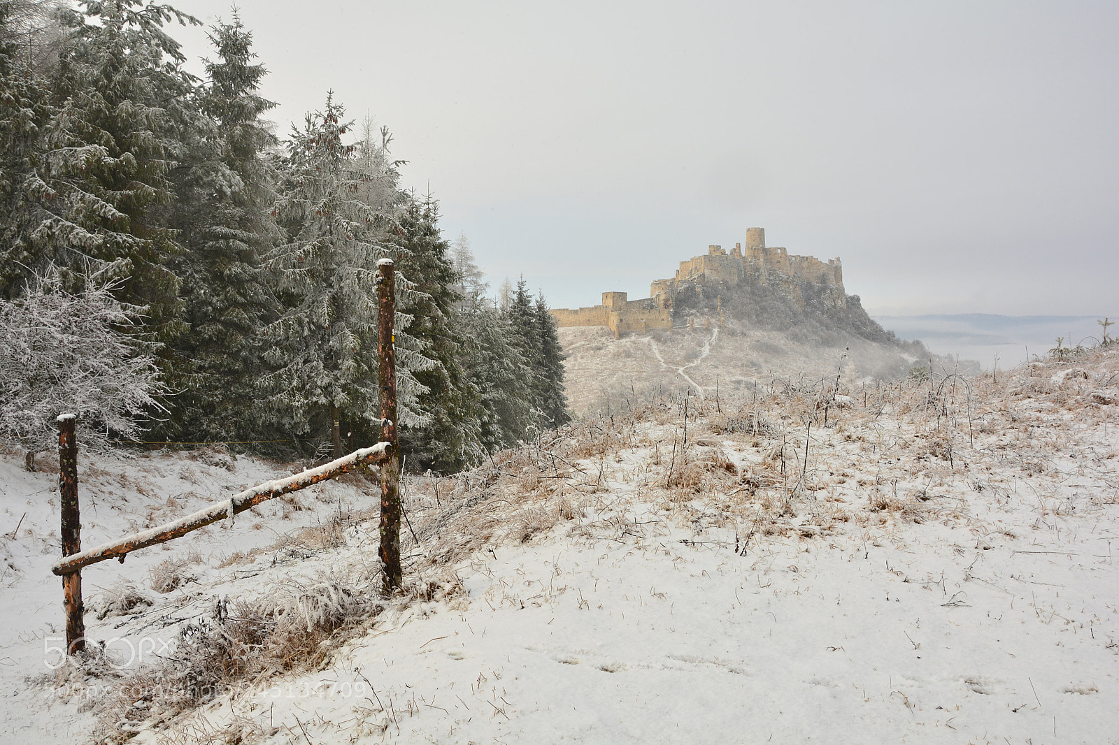 Nikon D5200 sample photo. Spis castle photography