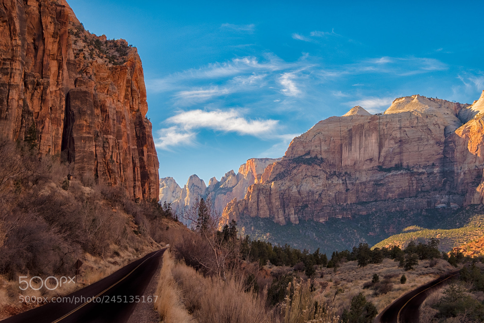Fujifilm X-T2 sample photo. Zion photography