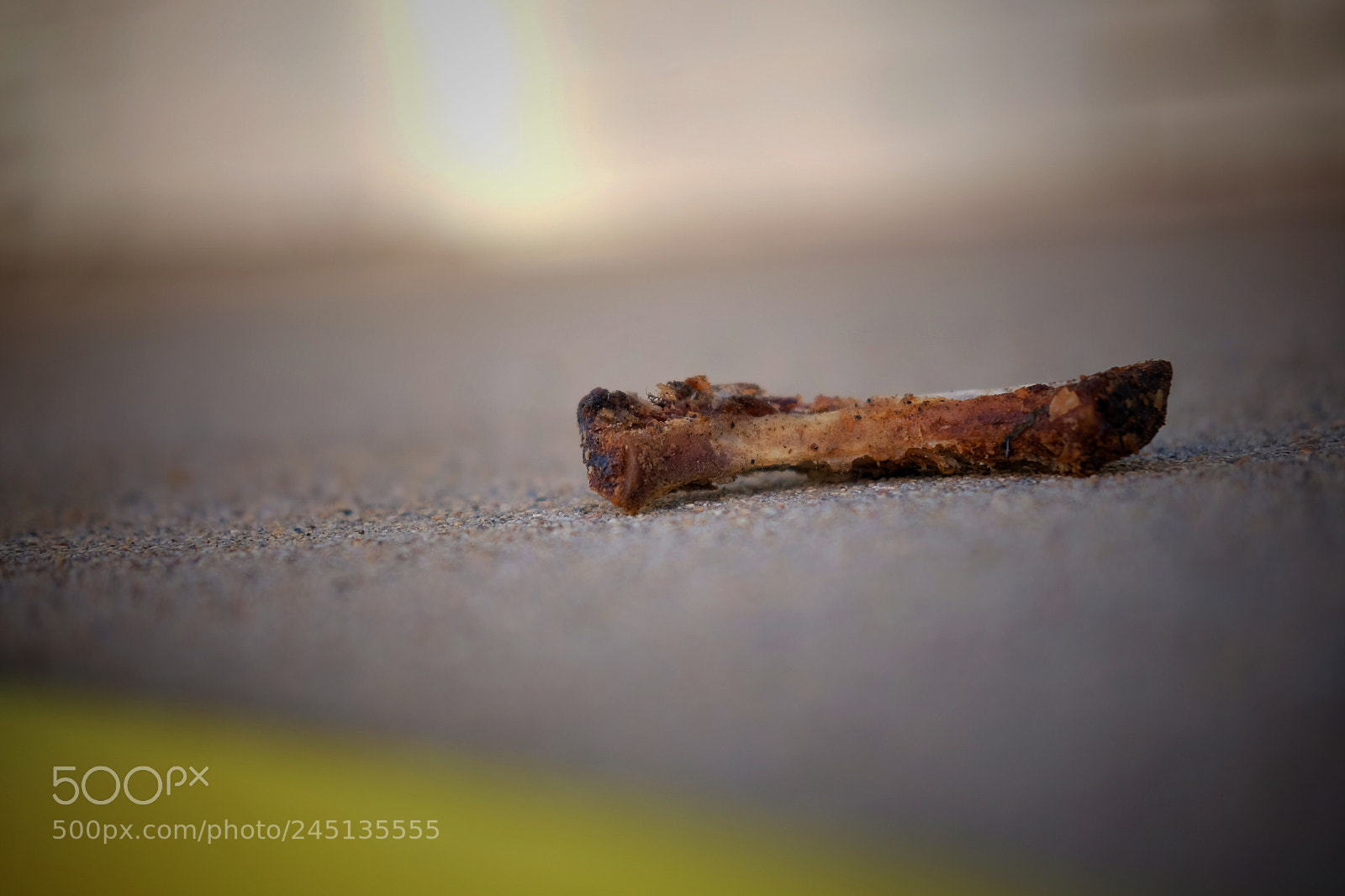 Fujifilm X-E2S sample photo. Discarded remnant from a photography