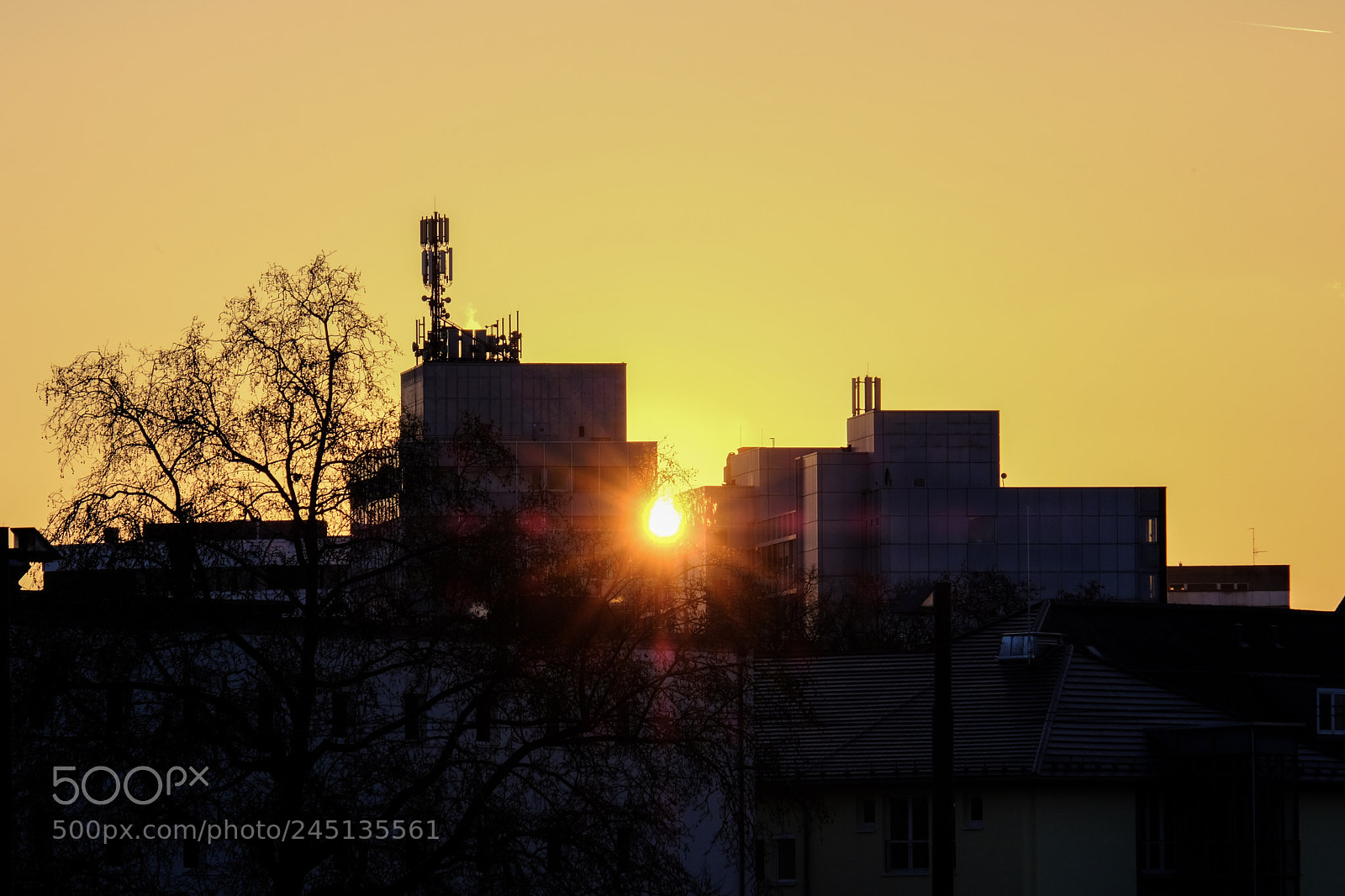Fujifilm X-T20 sample photo. Sunsplit photography