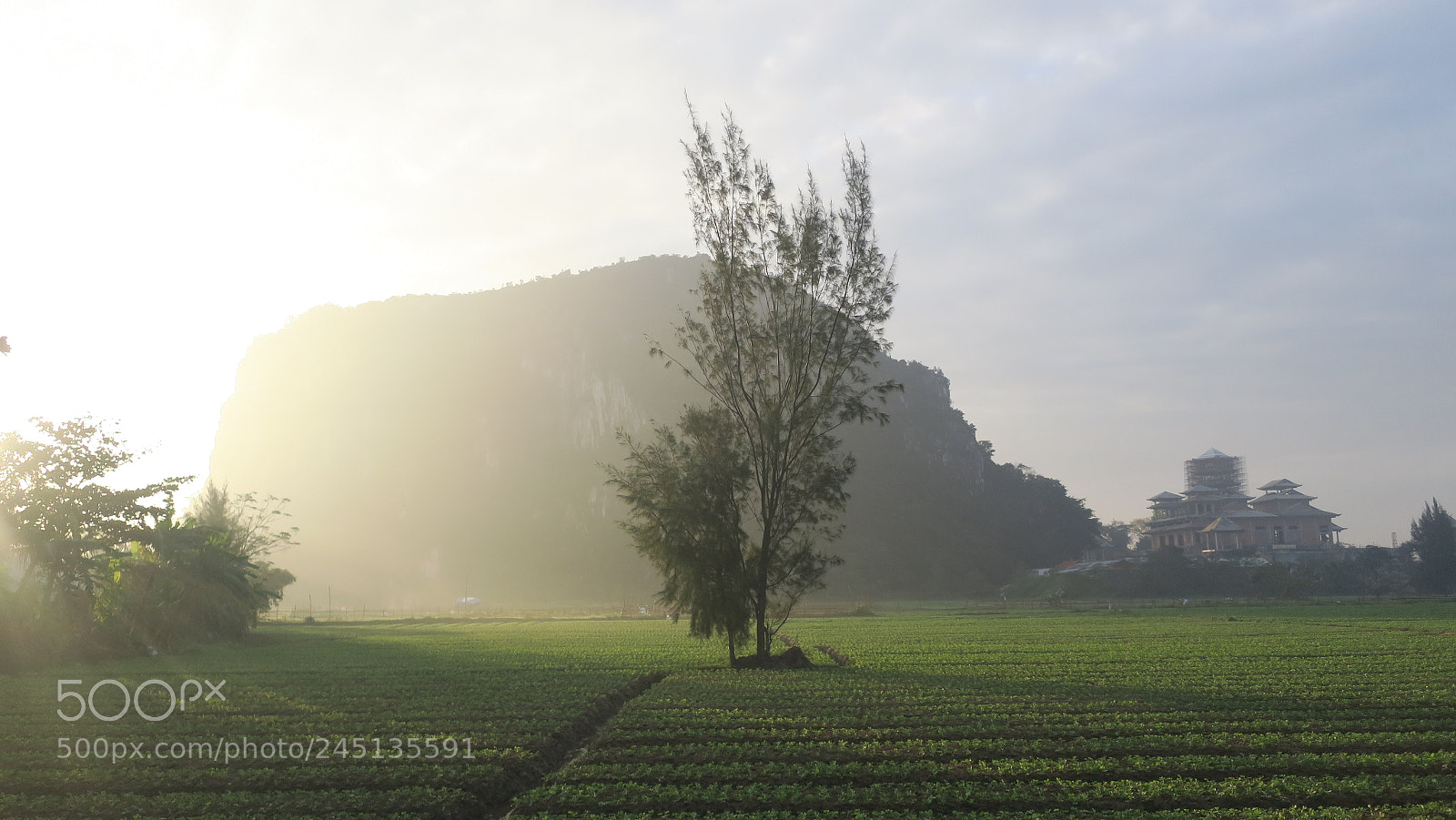 Canon PowerShot G9 X sample photo. Morning field photography