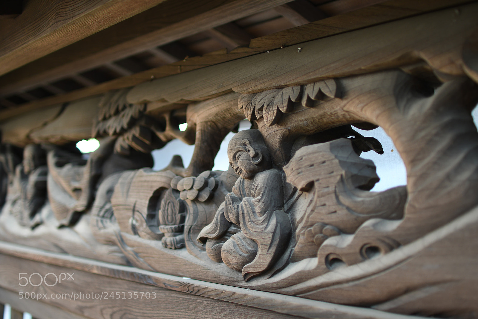 Nikon D500 sample photo. Takahatafudo photography