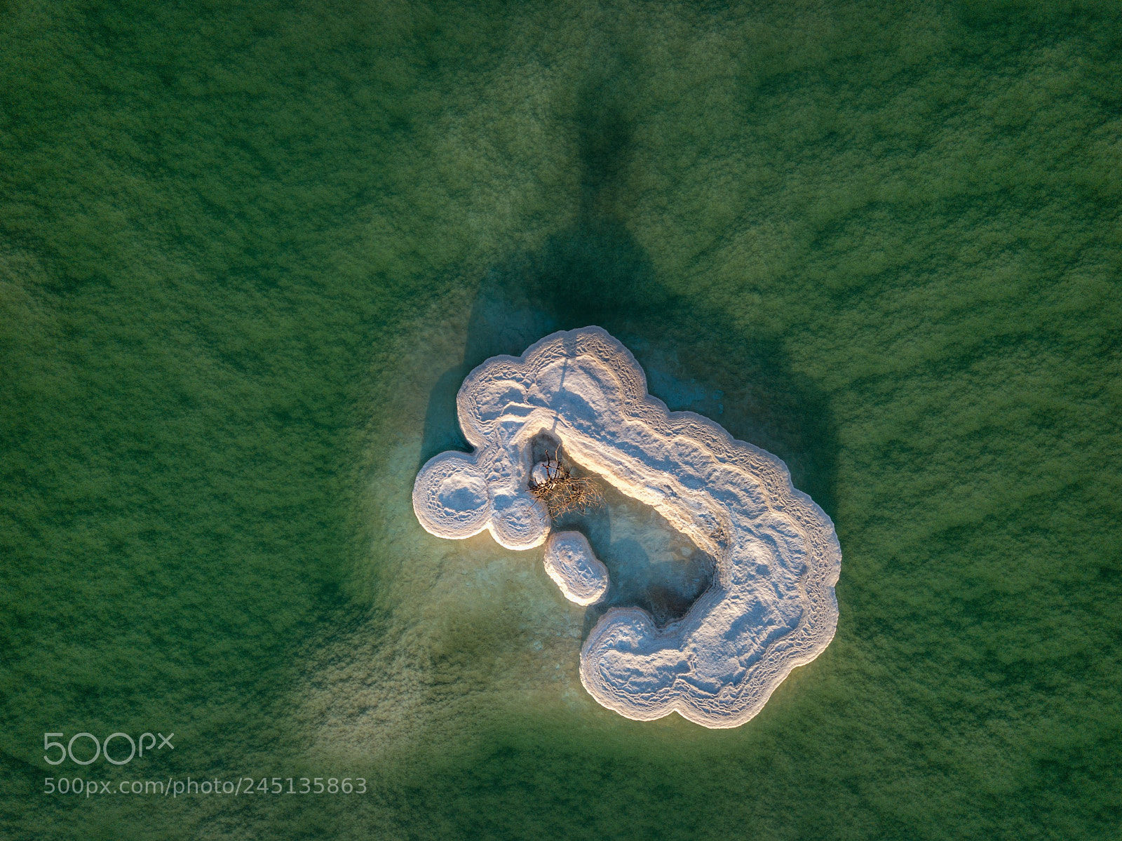 DJI FC220 sample photo. The lonley tree photography