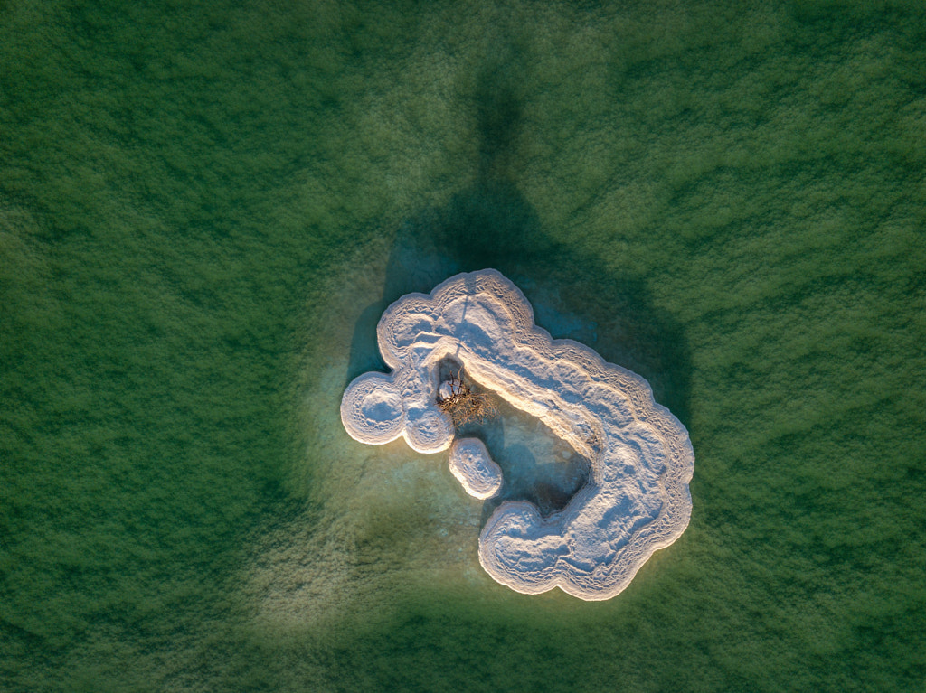 The Lonley tree by Ido Meirovich on 500px.com