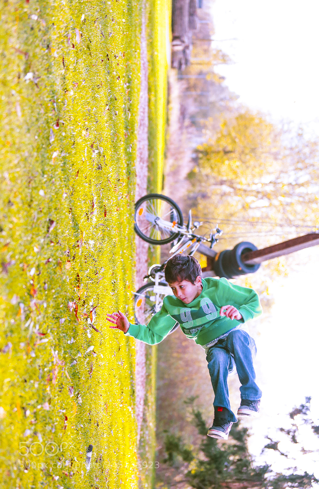 Canon EOS-1D X sample photo. Obsss photography