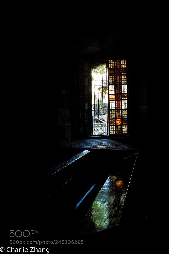 Canon EOS-1D X sample photo. Untitled photography