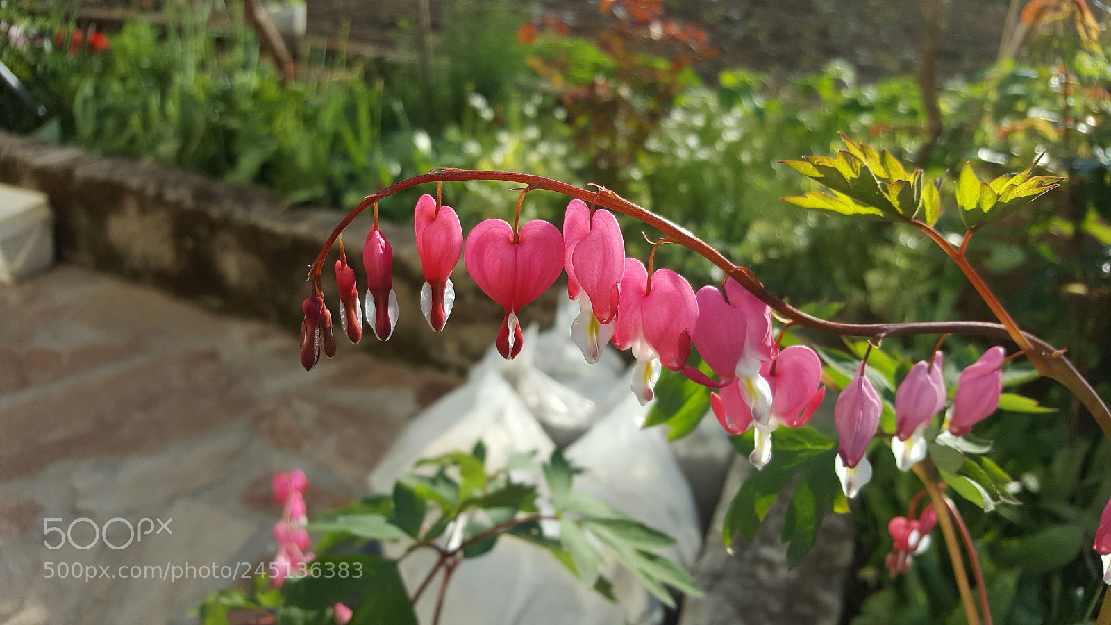 Samsung Galaxy S6 sample photo. Untitled photography
