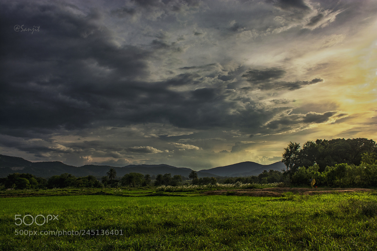 Nikon D5200 sample photo. End of the day photography