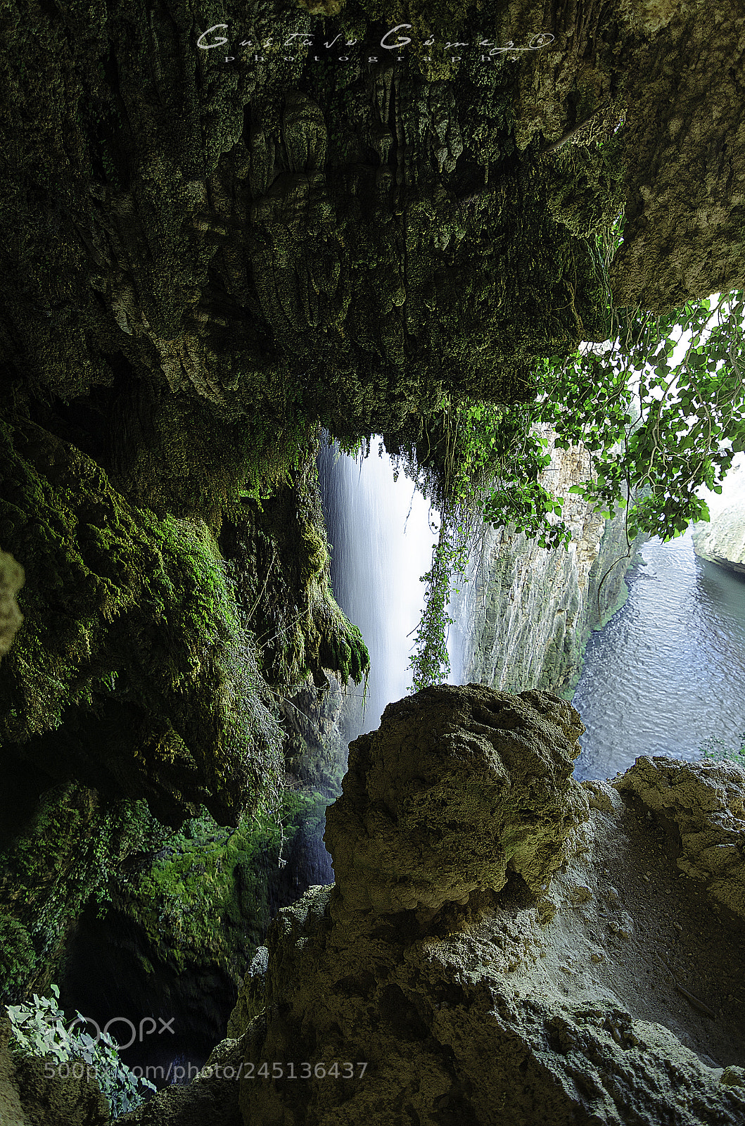 Nikon D5100 sample photo. Paraíso verde photography