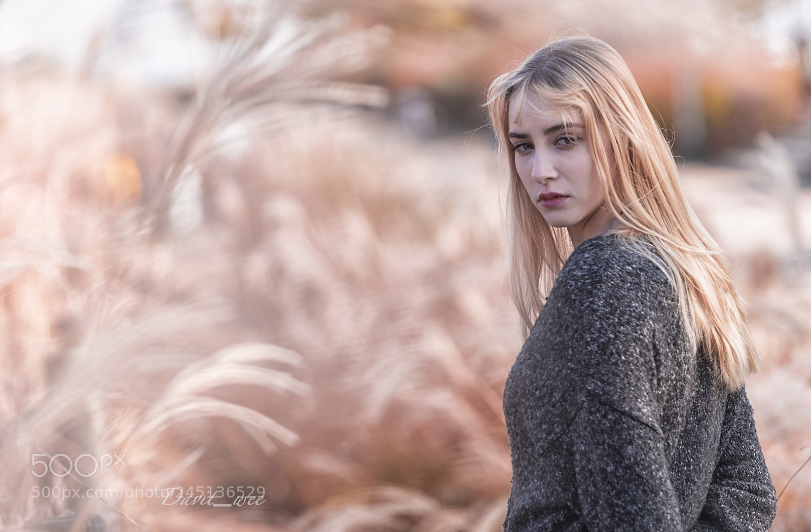 Nikon D810 sample photo. Haneully photography