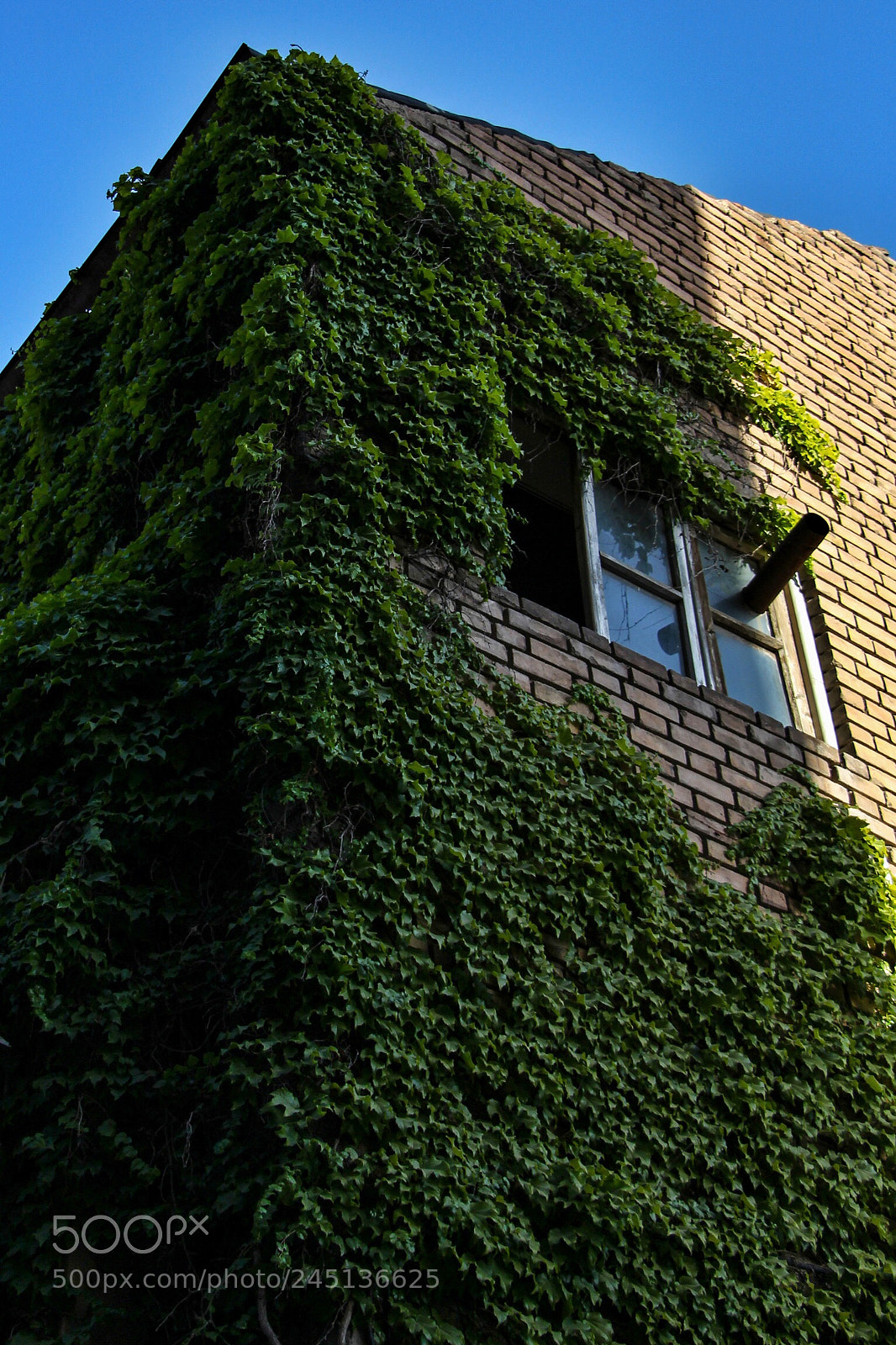 Canon EOS 700D (EOS Rebel T5i / EOS Kiss X7i) sample photo. Tabriz-iran photography