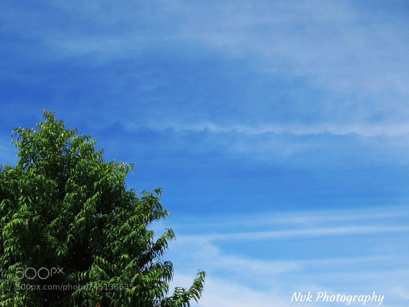 Canon PowerShot SX50 HS sample photo. Sky photography