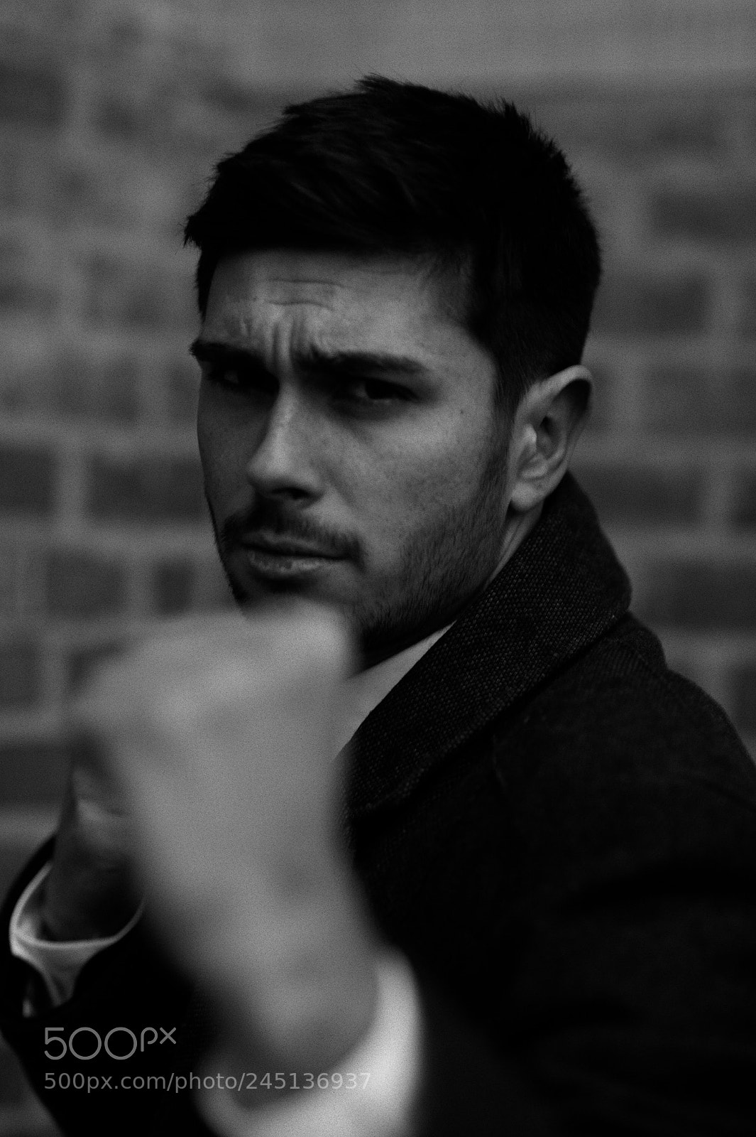 Nikon D700 sample photo. Don't mess with me! photography