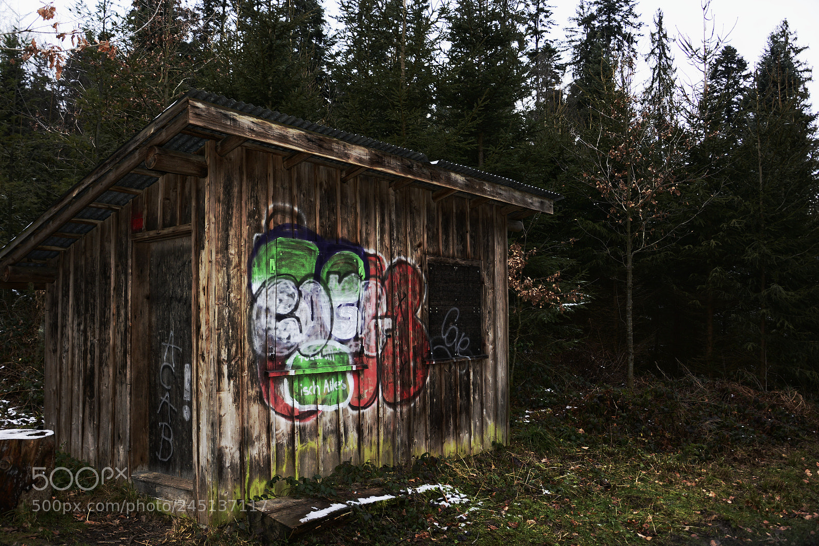 Nikon D7100 sample photo. Forest graffiti photography