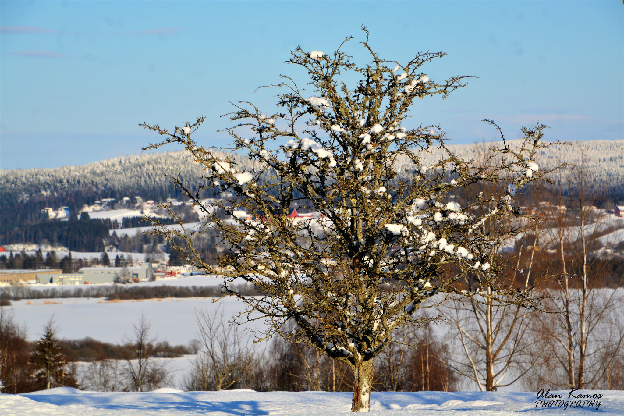 Nikon D5200 sample photo