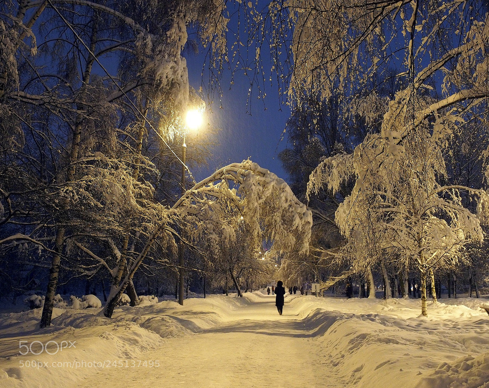 Olympus PEN E-P5 sample photo. After a snowfall photography