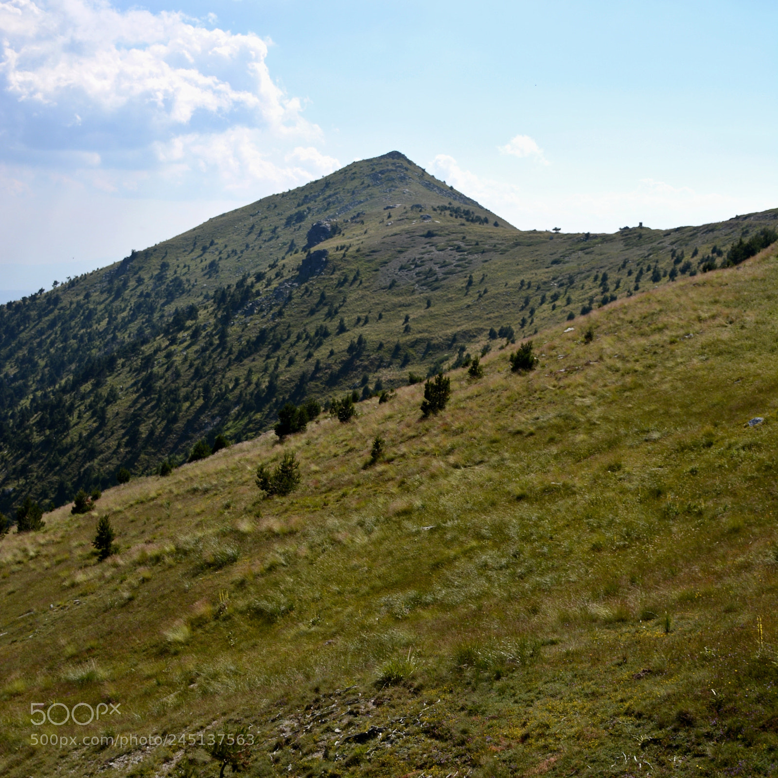 Nikon D7100 sample photo. #75 photography