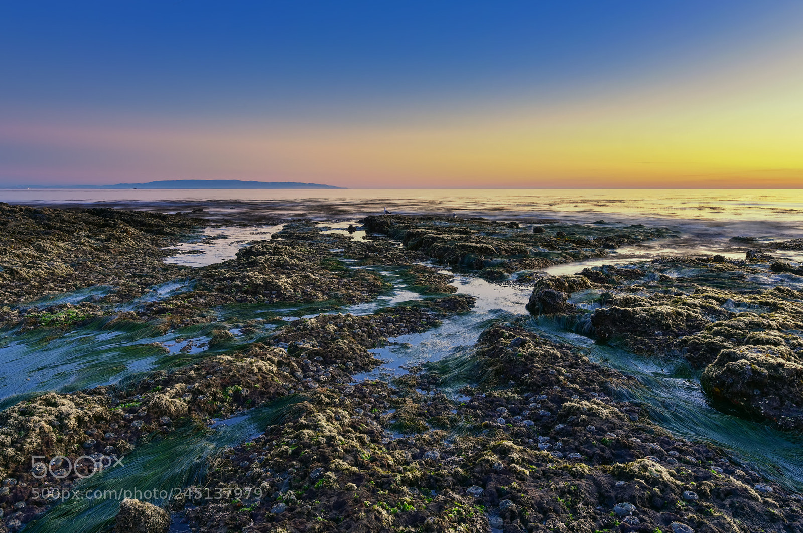 Nikon D810 sample photo. Low tide light photography
