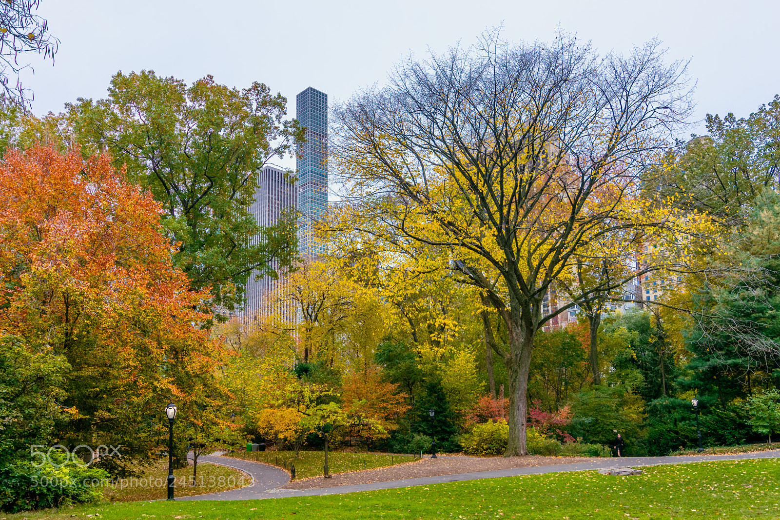 Nikon D3400 sample photo. Central park photography