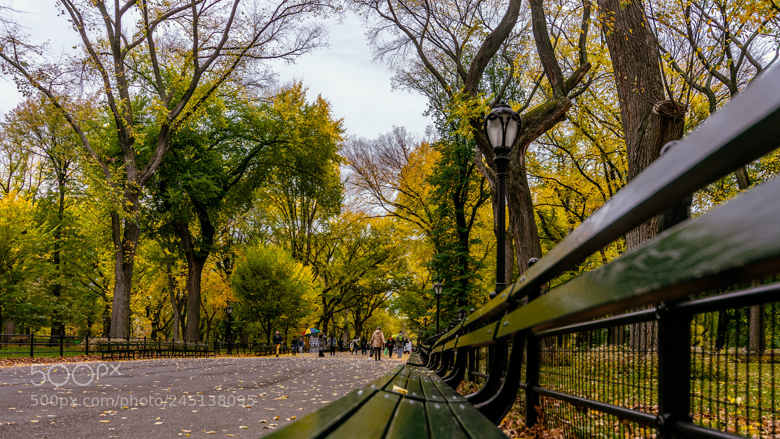 Nikon D3400 sample photo. Central park bench photography