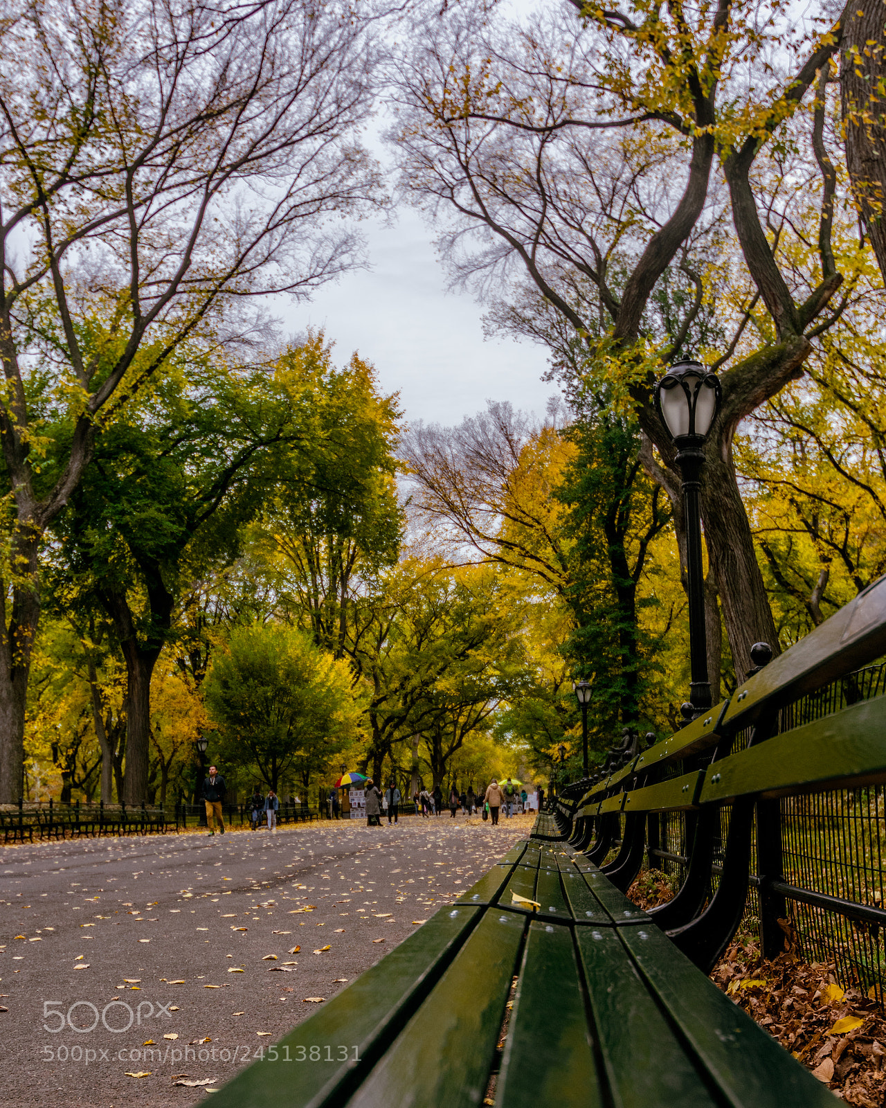 Nikon D3400 sample photo. Central park bench photography