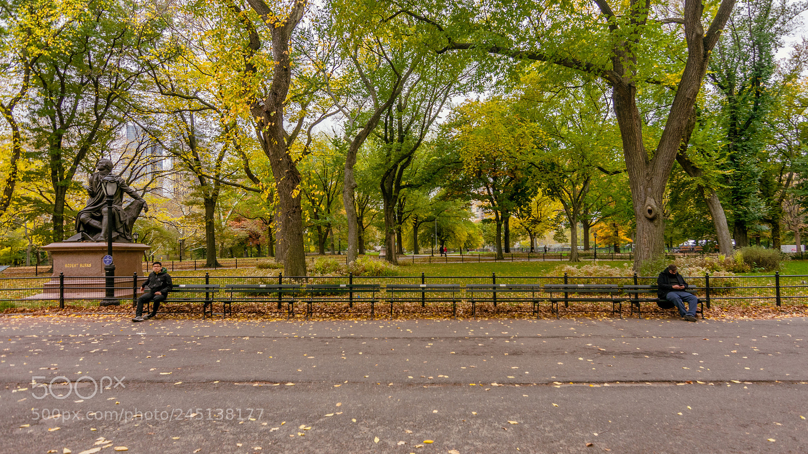 Nikon D3400 sample photo. Central park photography