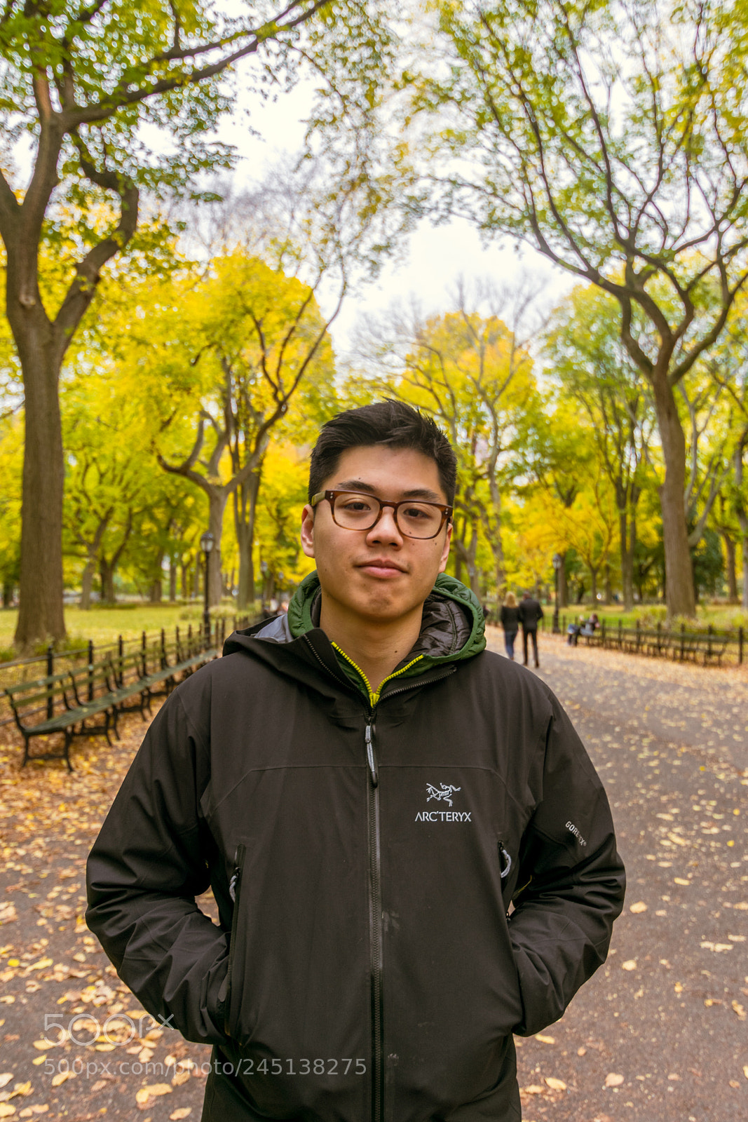 Nikon D3400 sample photo. Central park portrait photography