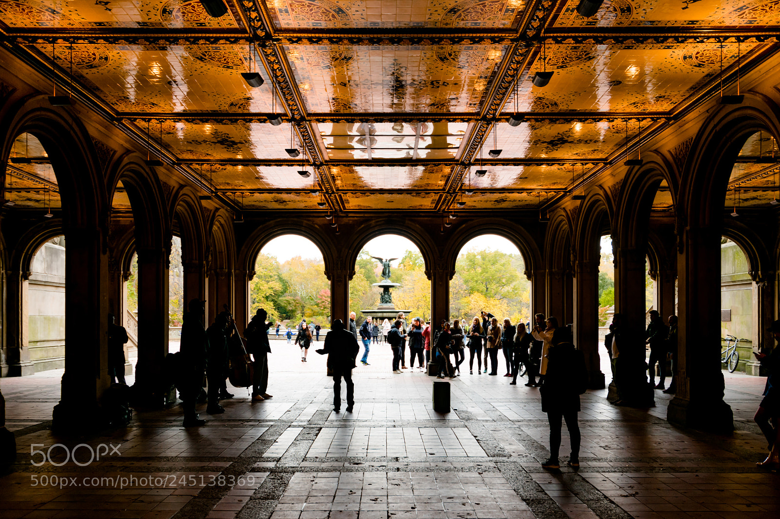 Nikon D3400 sample photo. Central park photography