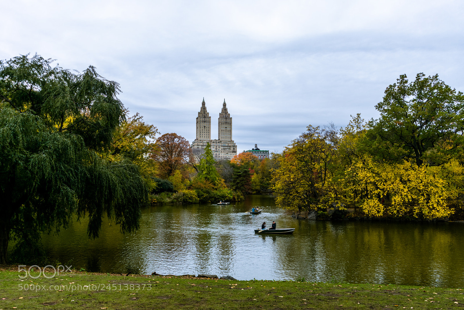Nikon D3400 sample photo. Central park photography